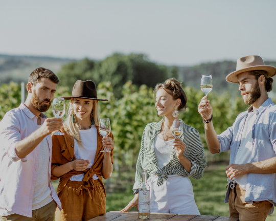 Cellar Door SEO